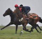 Candycakes - in training with Michael Bell on gallops, purchased for James Acheson by Brian Grsasick Bloodstock as a yearling