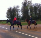 Evoke followed by Magique, both in training with Jeremy Noseda and purchased as yearlings by Brian Grassick Bloodstock in 2011 for Yvonne Jacques