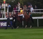 Sadlers Rock at Goodwood - his dam was purchased by Brian Grassick Bloodstock for Rockfield Farm